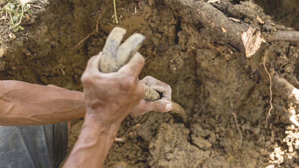Odkrycie na Mazowszu