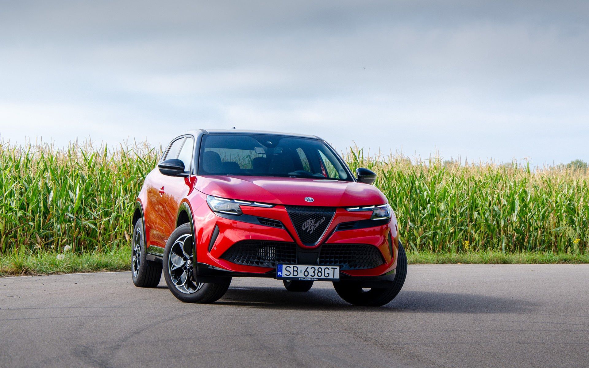 Alfa Romeo Junior