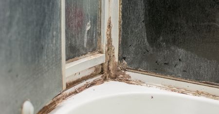 Wymieszaj z wodą utlenioną. Kabina prysznicowa będzie lśnić