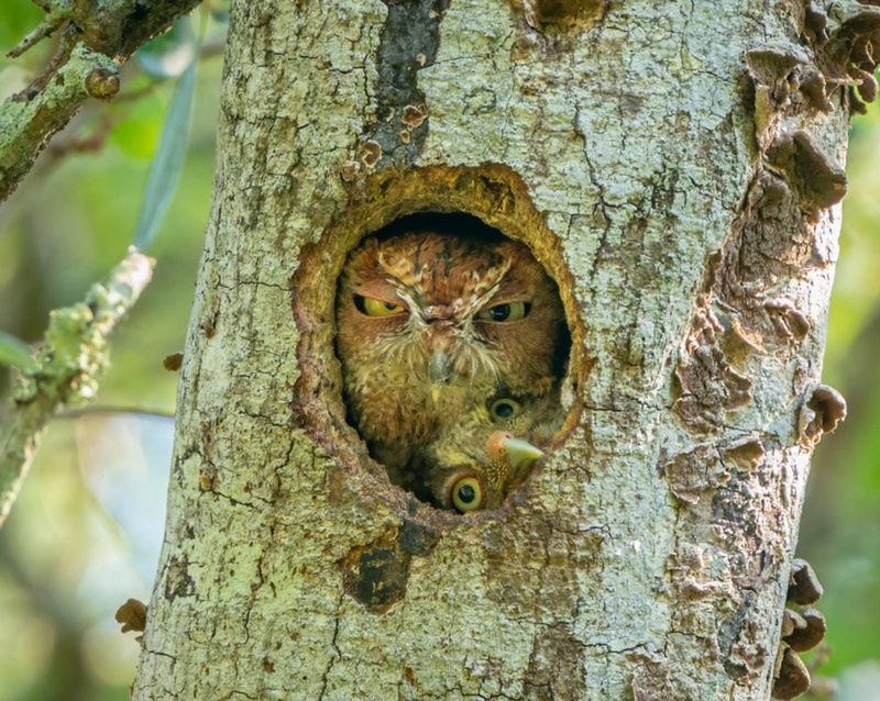 "Tight Fit!"