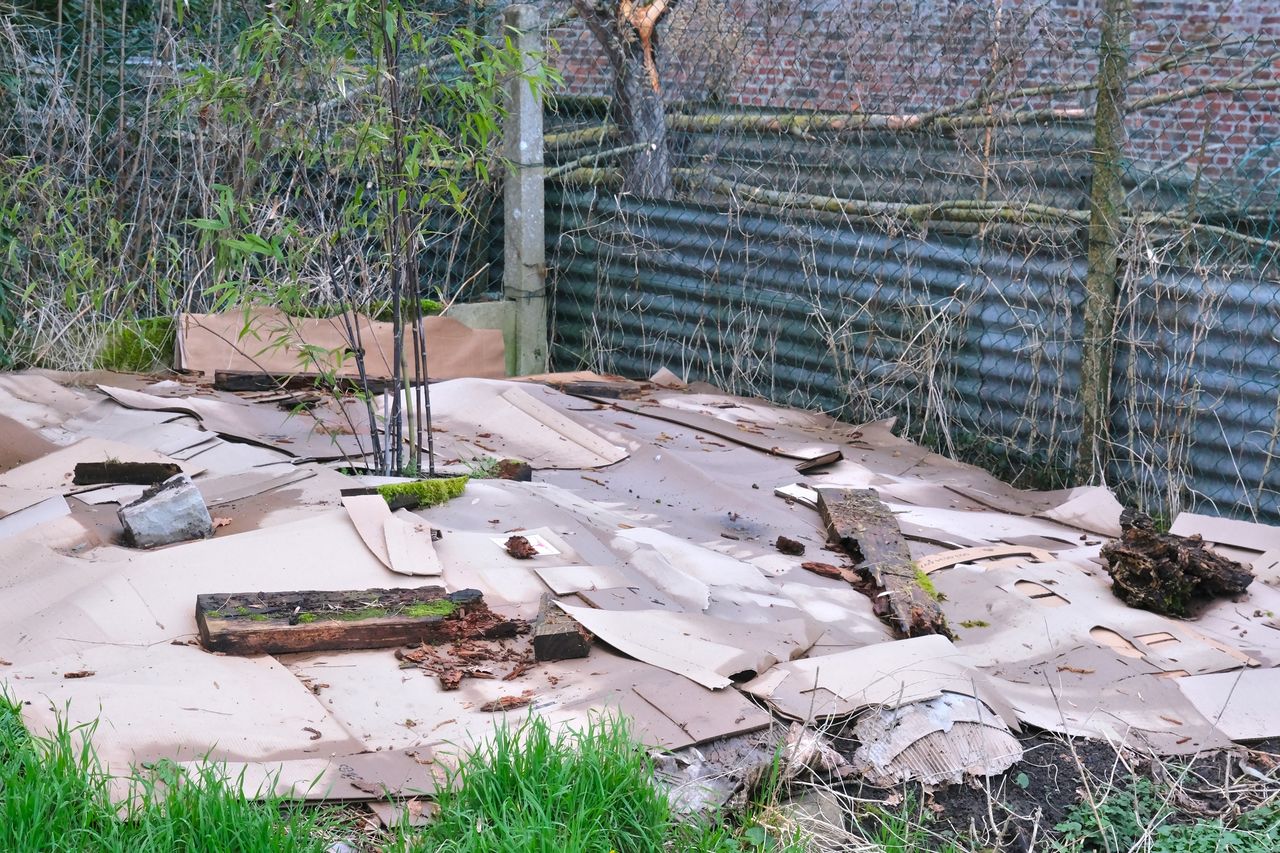 Zamiast wyrzucać, wykorzystaj w ogrodzie. Wiosną zapomnisz o chwastach