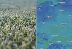 Przymrozki w majówkę? Wiadomo, kiedy przyjdzie ochłodzenie