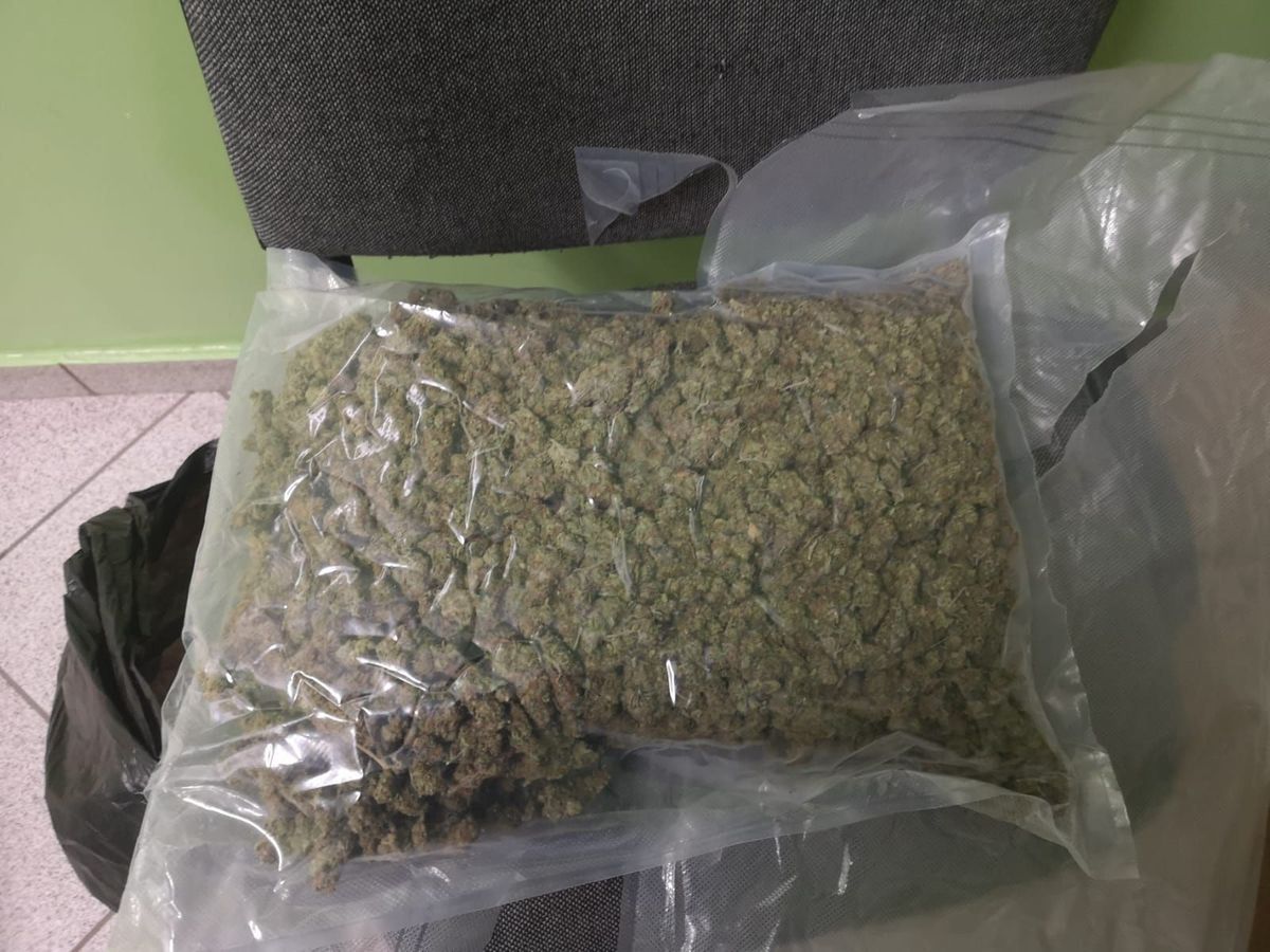 Przewożona marihuana 