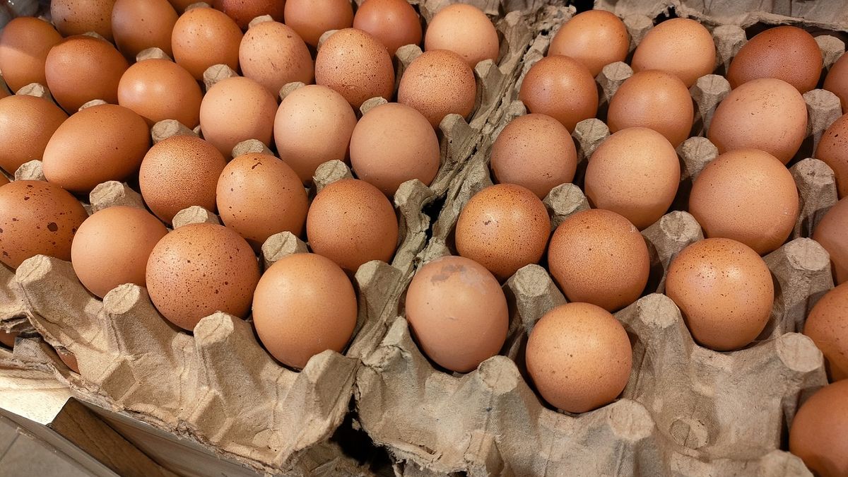 Czy jajka można jeść codziennie?