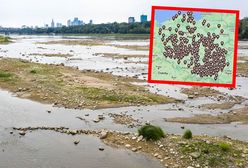 Cała mapa Polski w apelach. Następne mogą być Niemcy i Włochy