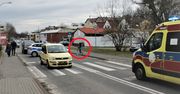 9-latkę potrącono na przejściu. Policja twierdzi, że to jej wina