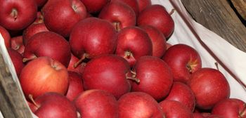 Ceny jabłek deserowych w hurcie na koniec listopada: rozstrzał coraz większy