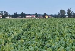 Wrocław. Zbadali katastrofę lotniczą pod Strzegomiem: ”pilot bez uprawnień, śmigłowiec przerobiony”