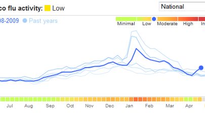 Google monitoruje świńską grypę 1