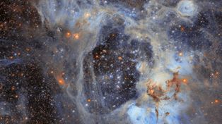 Spektakularne zdjęcie. Hubble odkrywa "superbańkę" w Obłoku Magellana