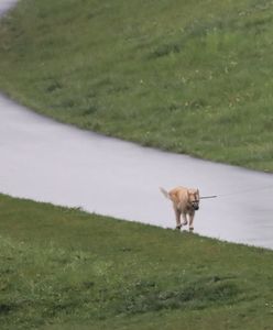 Pogoda. Warszawa. Przelotne opady deszczu. W kraju ochłodzenie
