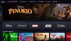 Disney+ z zadyszką: mniej subskrybentów i większa strata. „Wyrównanie na rynku”