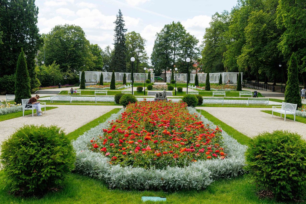 Różanka w Białymstoku zakwitła kolorami. Feeria barw w odnowionej część Plant