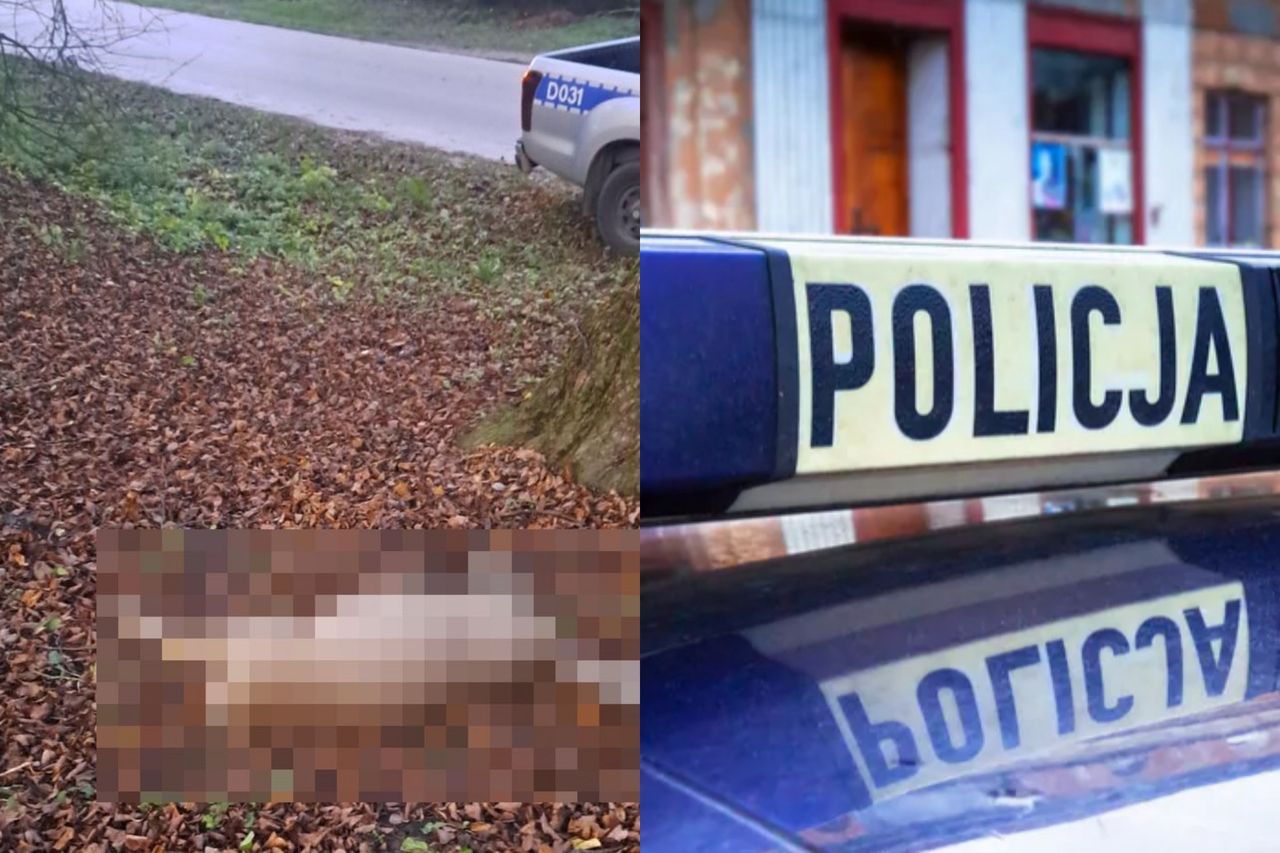 60-latek niósł martwą sarnę na plecach. Oto co mu grozi