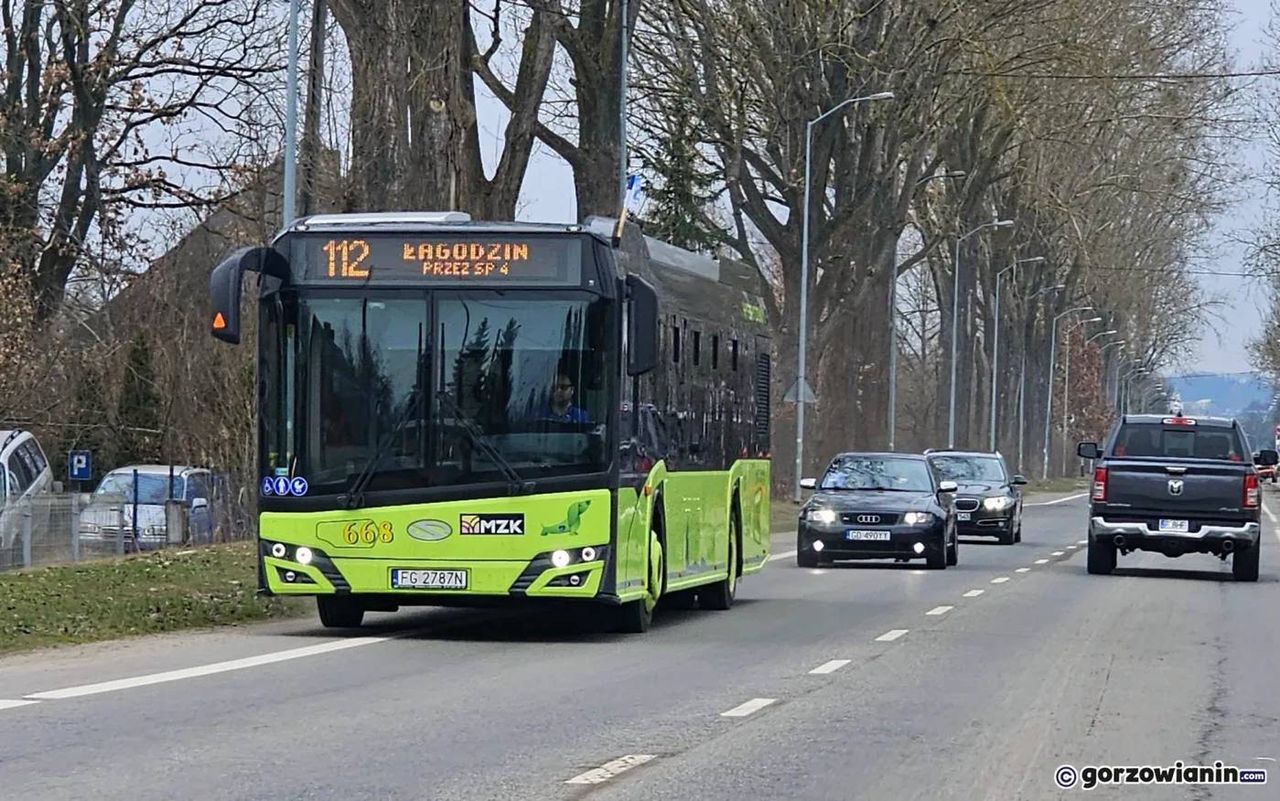 Rewolucja w MZK Gorzów. Zmiany tras i likwidacja linii autobusowych