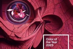 Головний інститут кольору назвав колір 2023 року