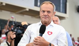 W PO już potwierdzają. Tusk wybrał. Szykuje się wielki powrót