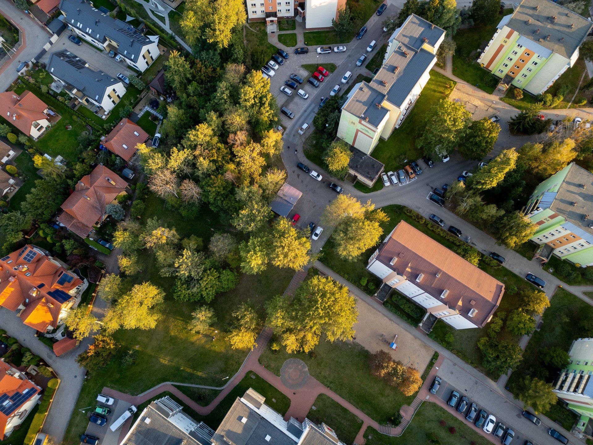 W lesie między Niską i Armii Krajowej powstanie leśny park kieszonkowy