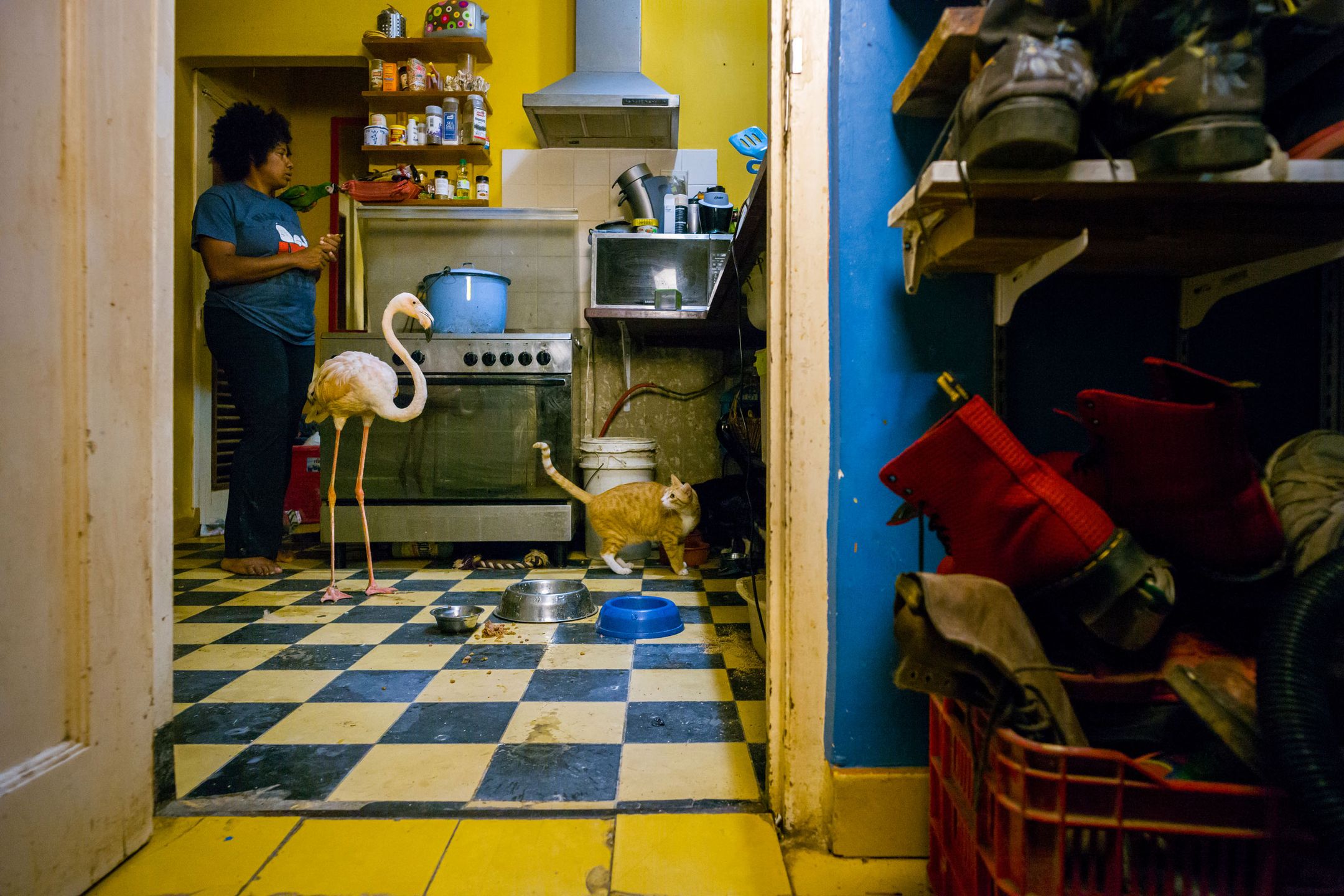 Kontrowersyjny materiał o samobójstwach wygrał Sony World Photography Awards 2019 115
