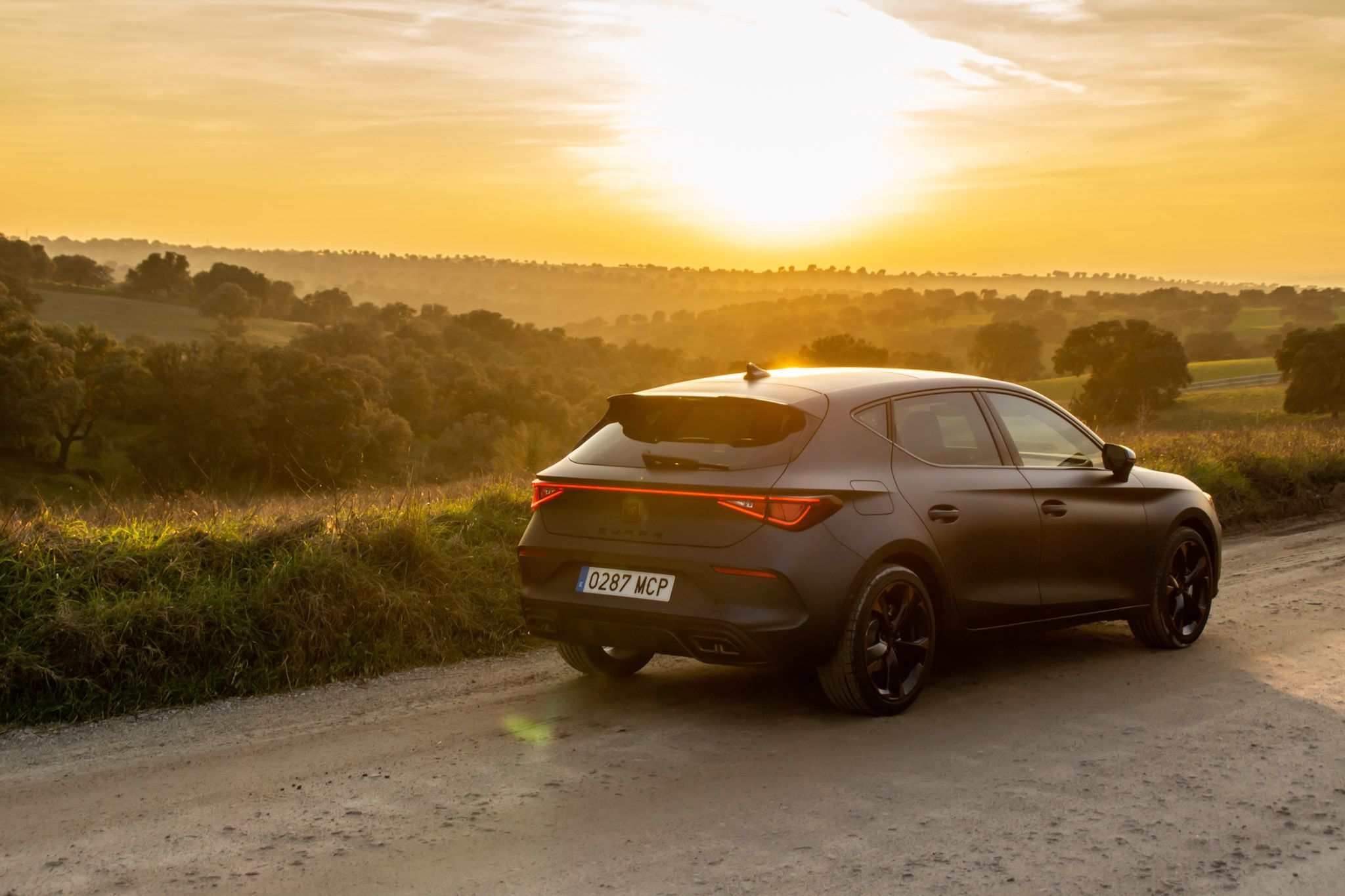 Cupra Leon 150