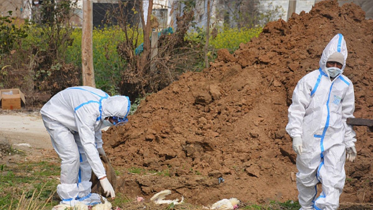 Zmarło ponad 5 osób zakażonych wirusem ptasiej grypy typu H5N6