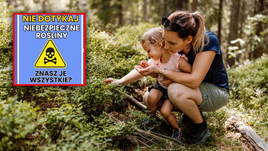 Niebezpieczne rośliny