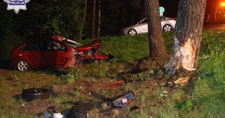 Bezwola: Łoś wpadł pod jadącego forda. Kierowca w szpitalu (zdjęcia)