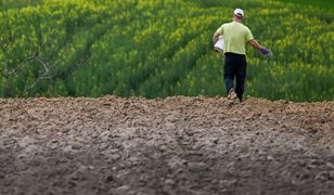 Ekstra pieniądze dla rolników. Podano kryteria