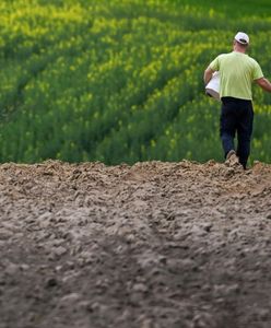 Ekstra pieniądze dla rolników. Podano kryteria