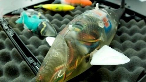 CyberRyba powstaje w Krakowie 1