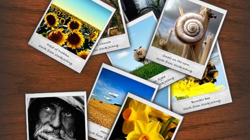 20 darmowych galerii do fotograficznego portfolio 1