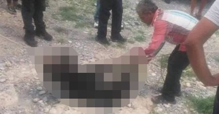 Brutalny atak w Meksyku. Związali i torturowali niedźwiadka
