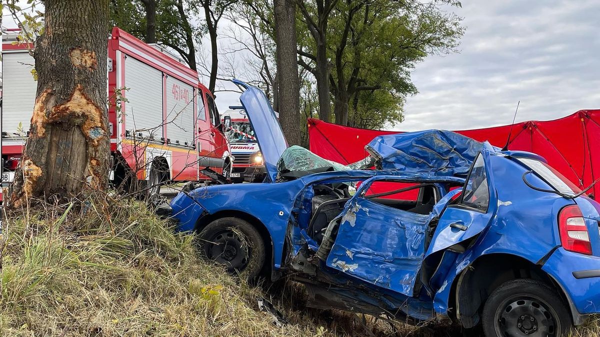 Tragiczny wypadek pod Kępnem. Nie żyje 22-letni kierowca 