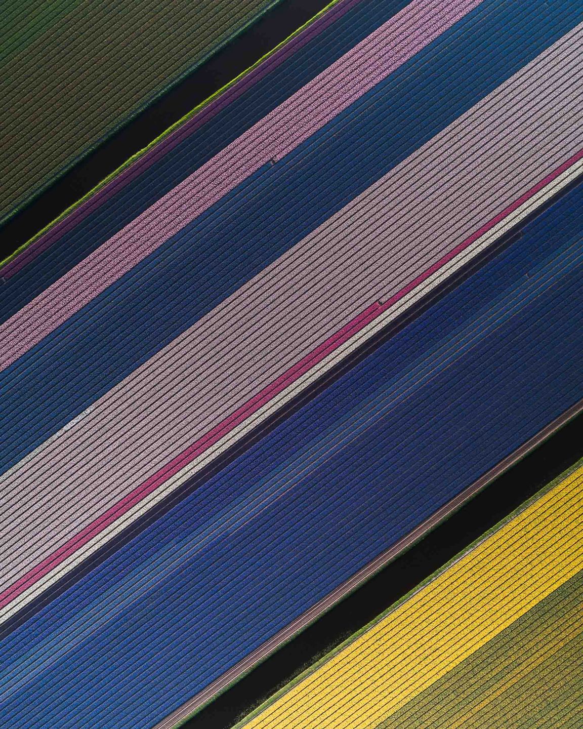 Abstract Aerial Art: “Chcemy pokazać, jak dziwacznie piękny jest świat” 14