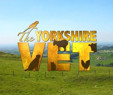 Weterynarz z Yorkshire - oglądaj online w TV - fabuła, bohaterowie, gdzie obejrzeć