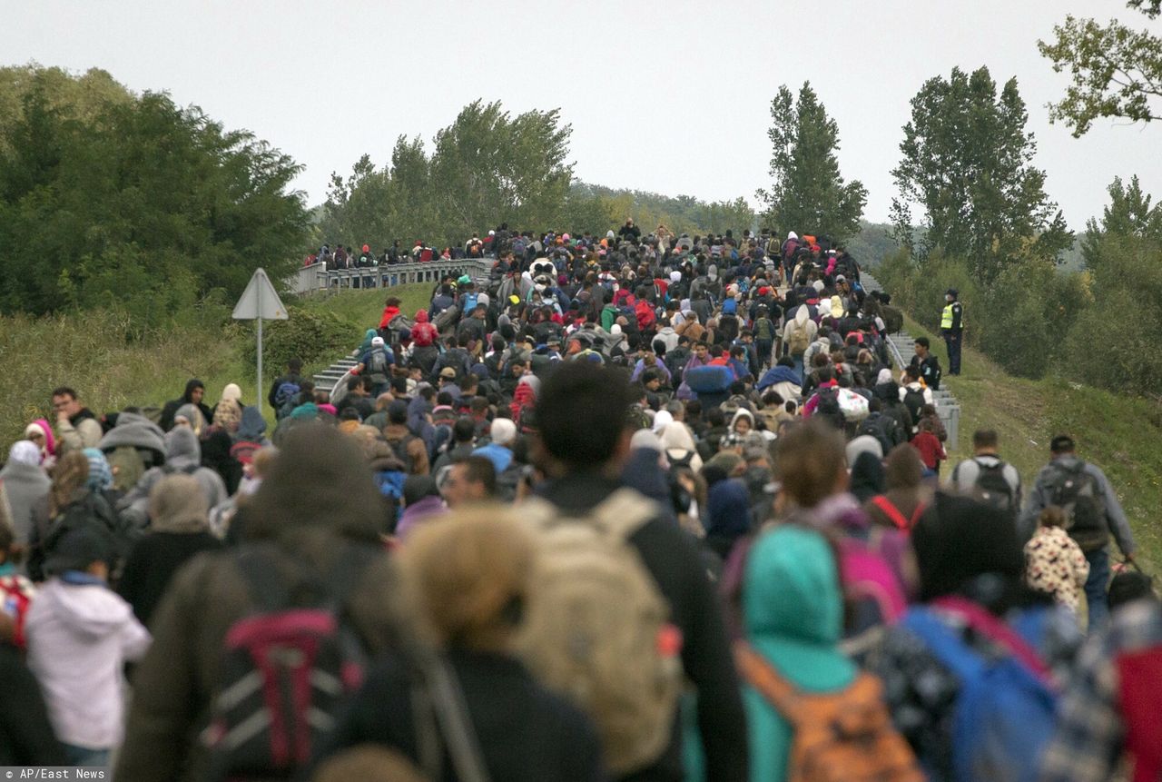 Zmieniają prawo. Mają ponad 100 tys. nielegalnych imigrantów