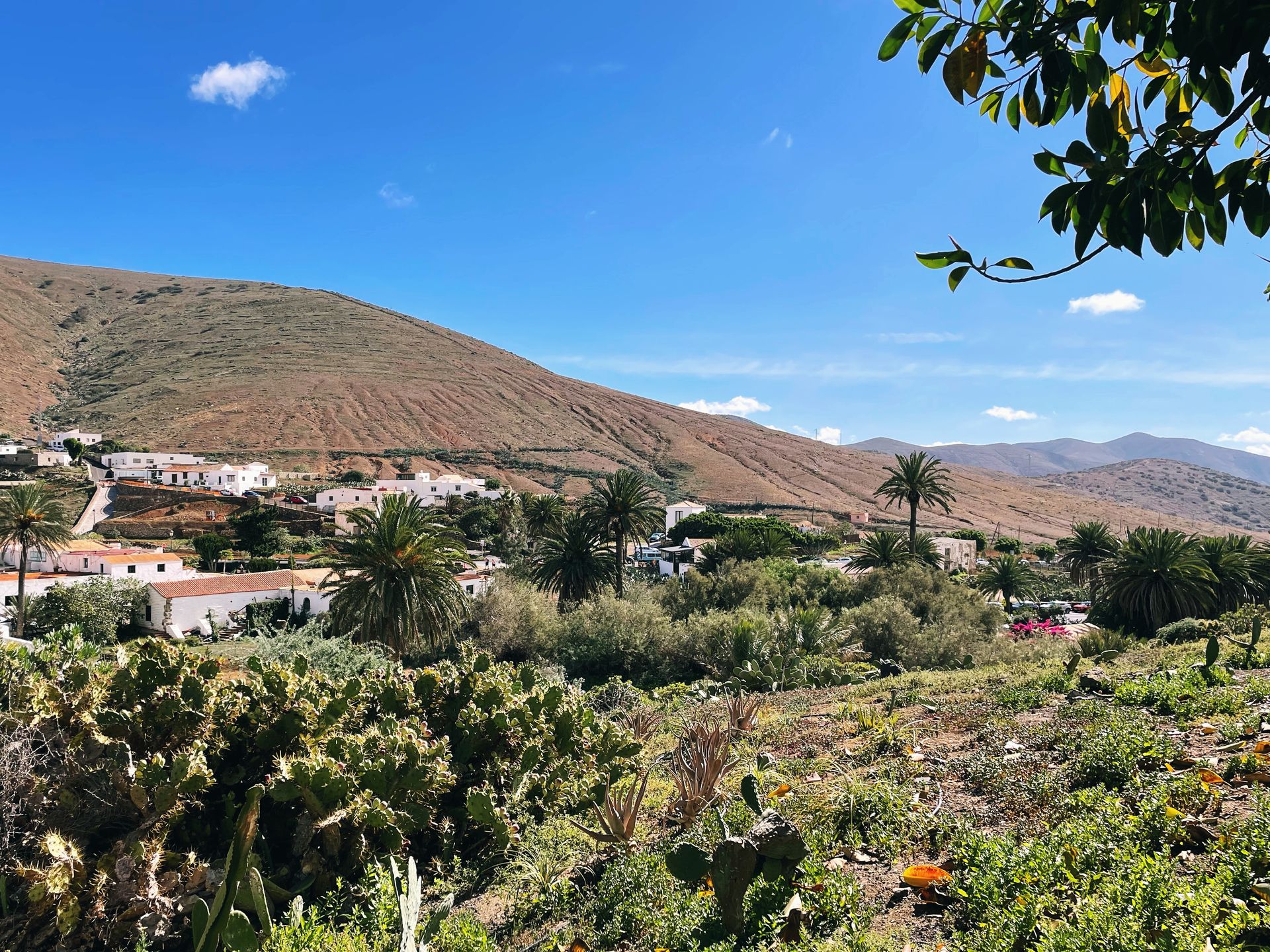 Betancuria 