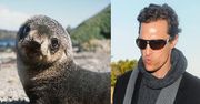 McConaughey uratował małą foczkę!