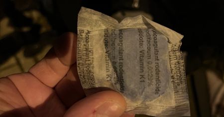 Ktoś porozrzucał trutkę na szczury. Mieszkaniec: „Nie da się przejść z psem, nie mijając tego miejsca”
