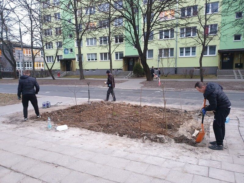 Dziki parking przed szpitalem został zamieniony w zieleniec