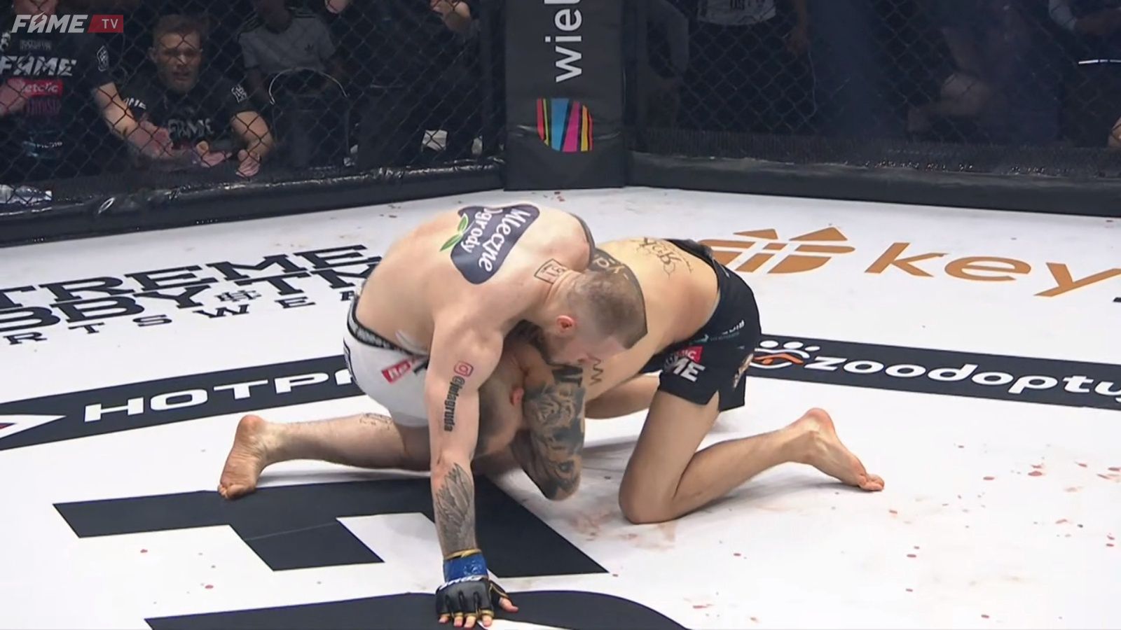 Fame MMA 10: Bocian kontra Polak