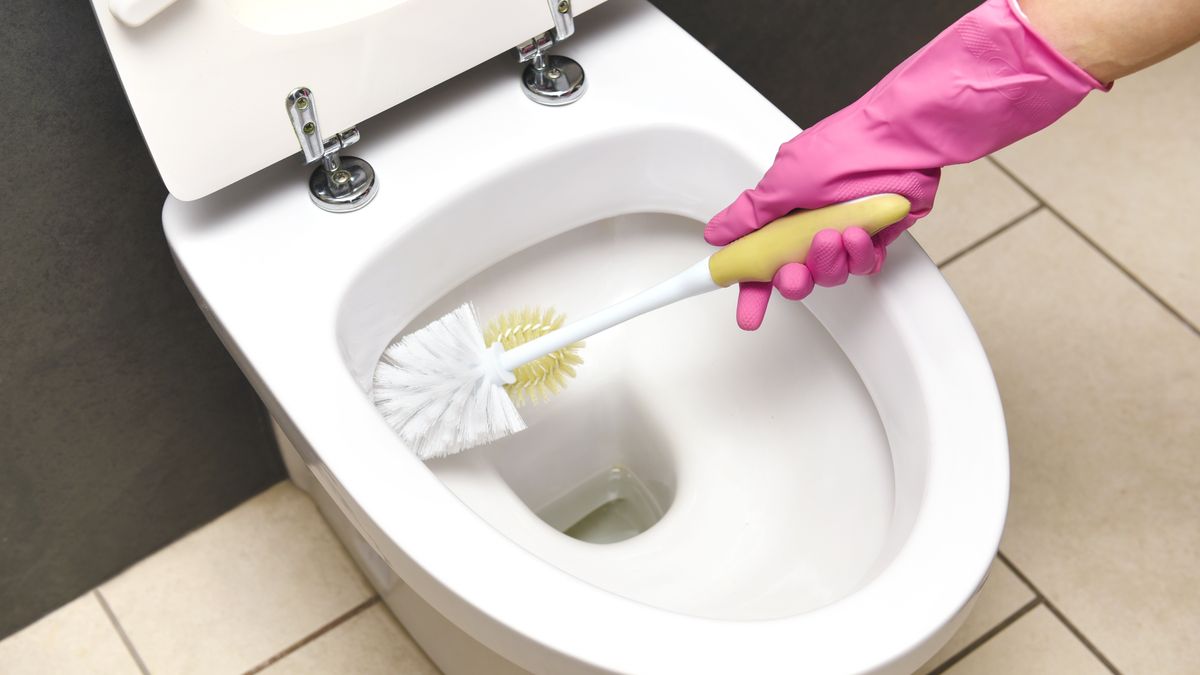 CLEANING TOILET WITH TOILET BRUSHPeter Dazeley