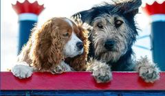 Disney zapowiada film "Zakochany kundel"