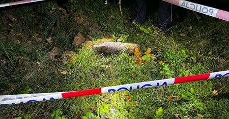 Odkrycie przy autostradzie A4. Mieszkaniec Katowic natknął się na to w lesie