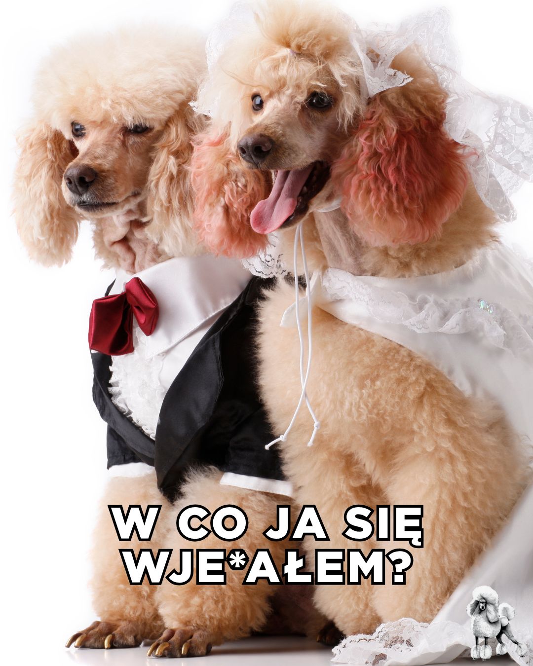 Najlepsze TEKSTY z "Love is Blind"