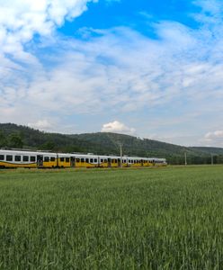 Wrocław. Wakacyjna oferta Kolei Dolnośląskich. Rusza specjalna akcja