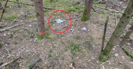 Znaleźli tajemnicze woreczki. Nadleśnictwo Białowieża pokazało zdjęcia