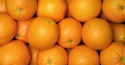 Jak wybrać idealne pomarańcze. Spójrz na "pępek"