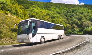Prawo jazdy to nie wszystko. Oto wymogi wobec kierowców autobusów