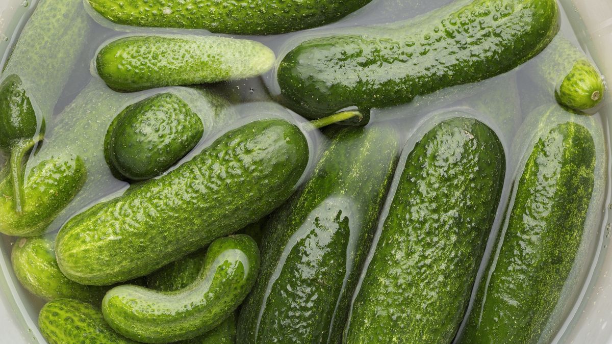 Dlaczego warto jeść ogórki małosolne?